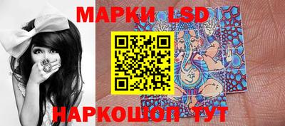 МДПВ Донецк