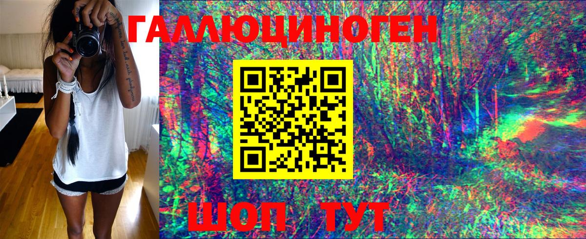Галлюциногенные грибы GOLDEN TEACHER Котовск