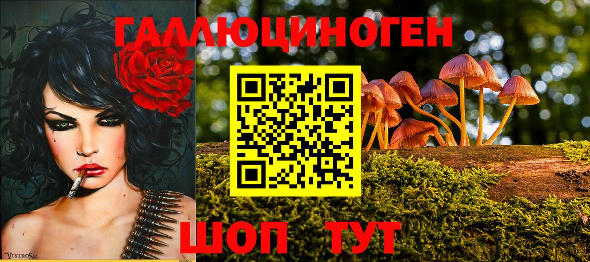 Галлюциногенные грибы Cubensis  Галлюциногенные грибы Cubensis  Вход с VPN  Котовск 